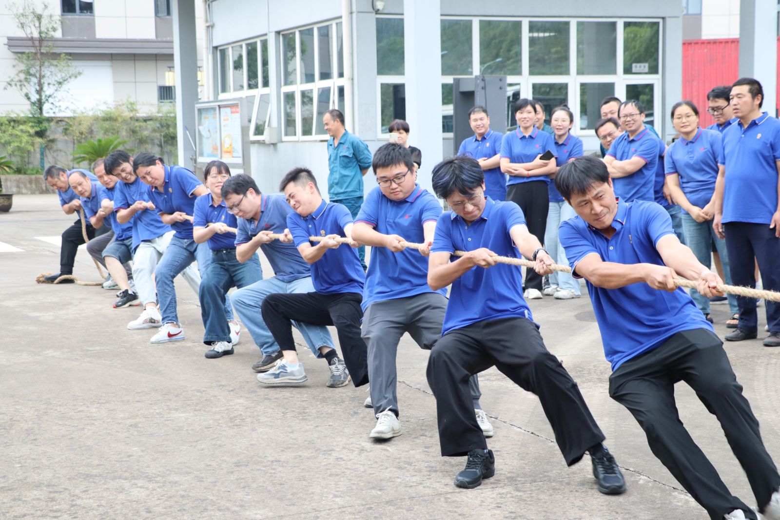 ca88手机客户端(安卓/苹果)CA88会员登录入口